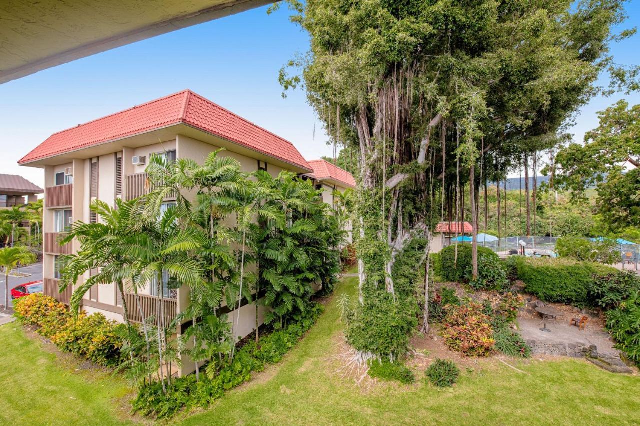 Kona Mansions D-226 Lejlighed Kailua-Kona Eksteriør billede